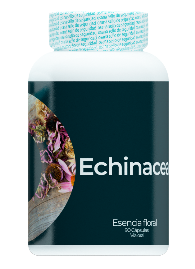 Echinacea
